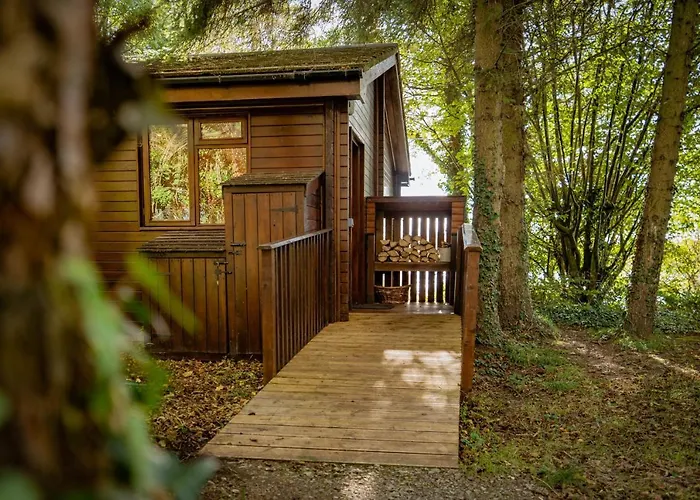 Chiffchaff With Hot Tub