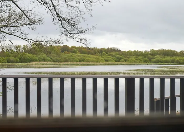 Chiffchaff With Hot Tub * Carlisle (Cumbria)