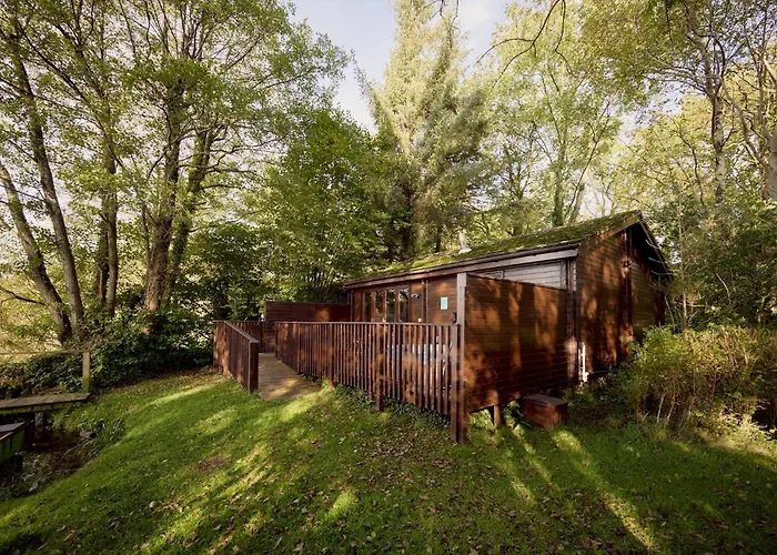Chiffchaff With Hot Tub Carlisle (Cumbria)