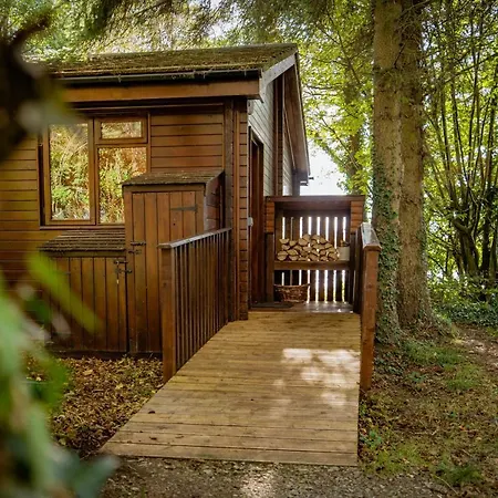 Chiffchaff With Hot Tub